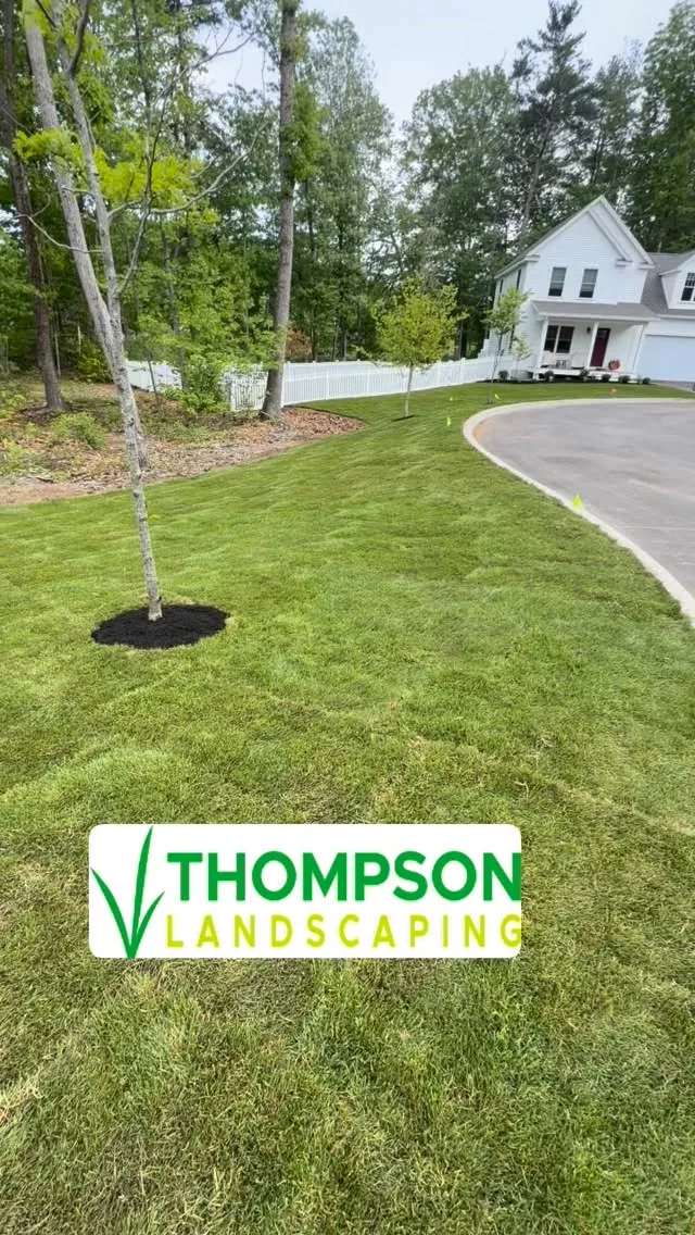 A green lawn following the curve of a driveway, with new trees and a white house.