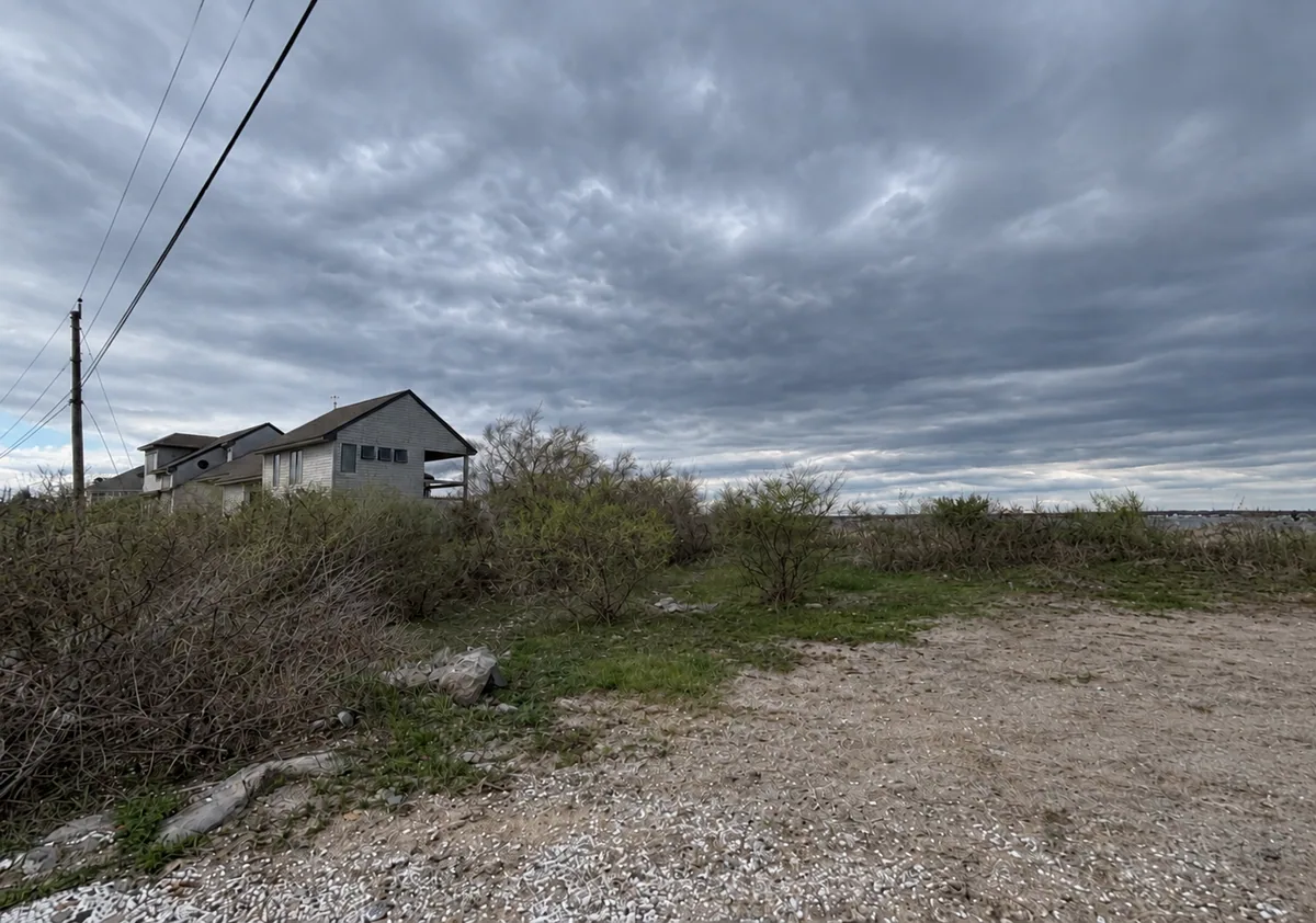 Brush, rough grass and gravel at the property before renovation.