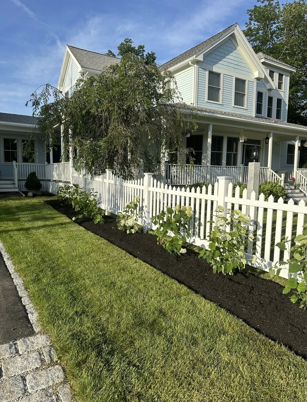 Mulched planting bed and shrubs along a white picket fence